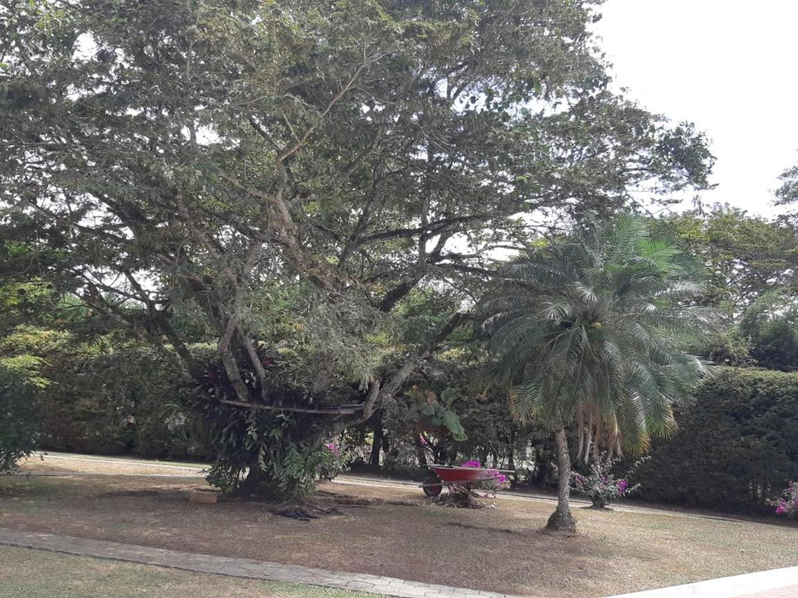 Finca Paraiso Calima Exterior photo
